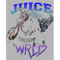 idol singer-GS  1481